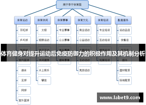 体育健身对提升运动后免疫防御力的积极作用及其机制分析