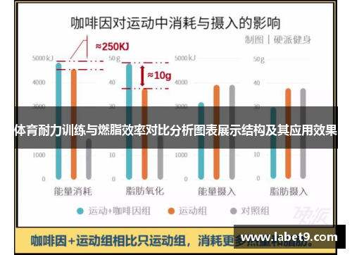 体育耐力训练与燃脂效率对比分析图表展示结构及其应用效果