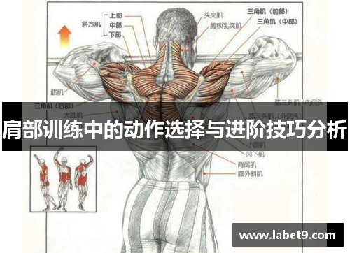 肩部训练中的动作选择与进阶技巧分析
